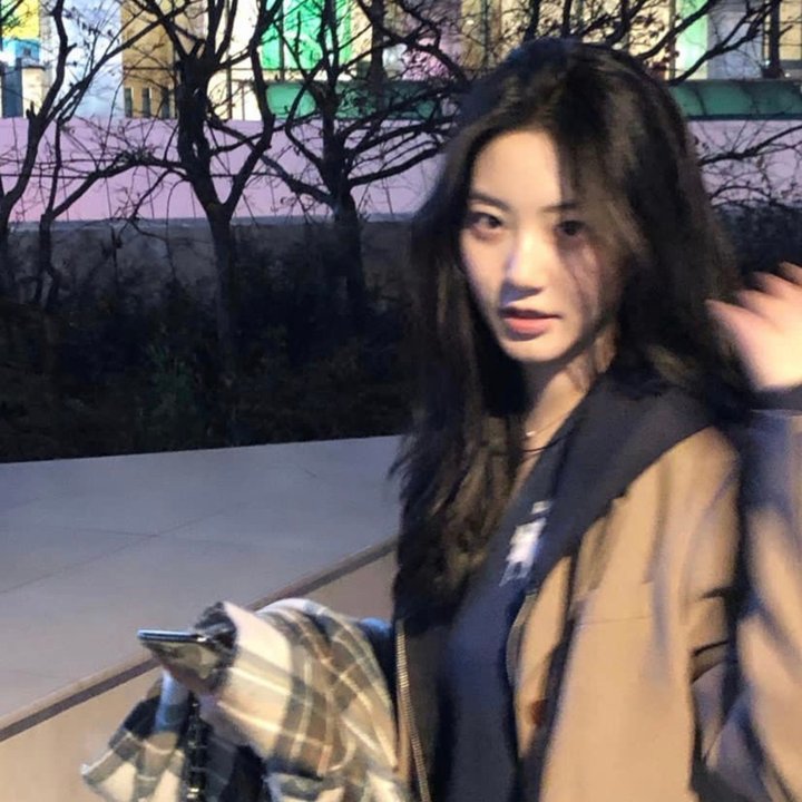 比弗利拜金狗